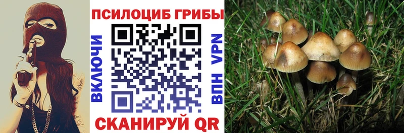 Купить закладки  Белогорск  Псилоцибиновые грибы MAGIC MUSHROOMS 